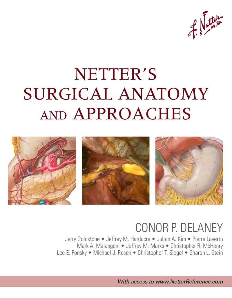 آناتومی جراحی و رویکردهای نتر، ۲۰۱۳