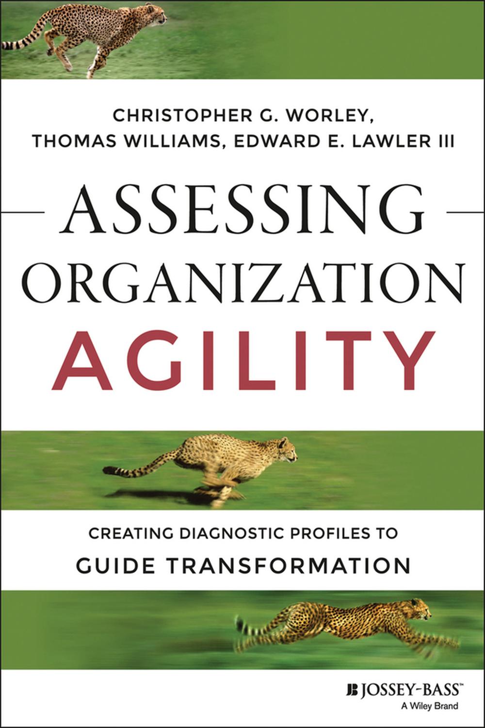 ارزیابی چابکی سازمان: ایجاد پروفایل‌های تشخیصی برای راهنمایی تحول